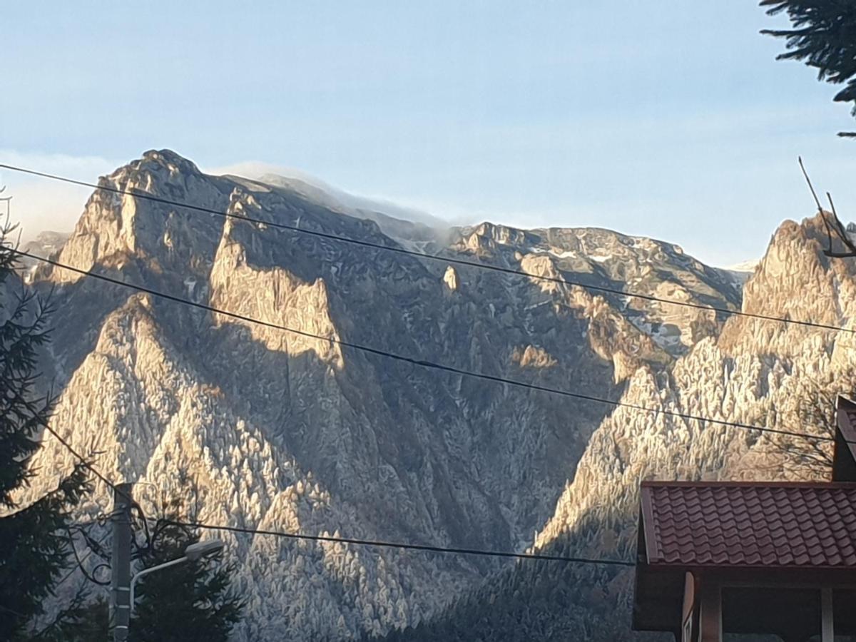 Mountain Break Azuga Ski Eksteriør billede